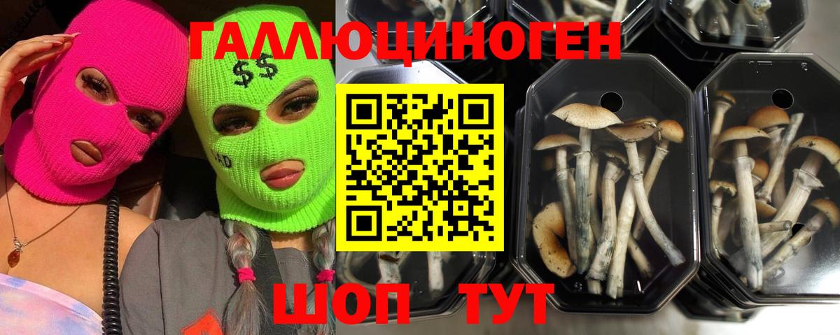 Псилоцибиновые грибы MAGIC MUSHROOMS Екатеринбург