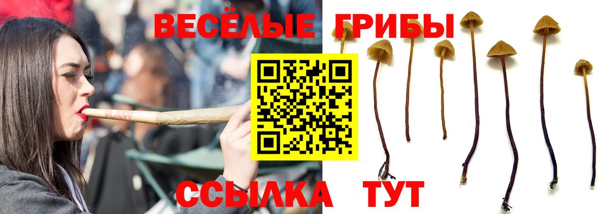 Галлюциногенные грибы Magic Shrooms  Галлюциногенные грибы мицелий  Вход с VPN  Екатеринбург 